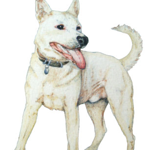 White American bulldog panting dog T-Shirt