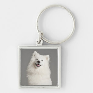 White American Eskimo Puppy Dog Keychain