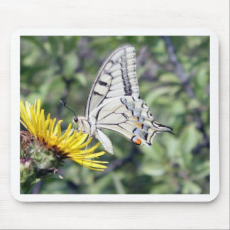 White and Black Butterfly on Yellow Flower Mouse Pad