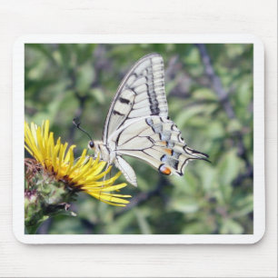 White and Black Butterfly with Red Spots Mouse Pad