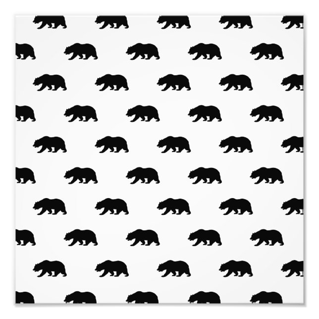 White and Black Grizzly Bear Pattern Photo Print (Front)
