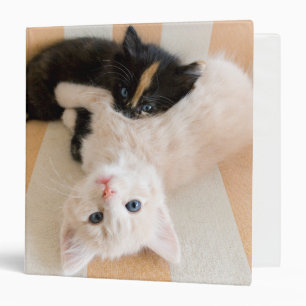 White And Black Kittens Binder