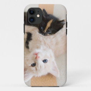 White And Black Kittens iPhone 11 Case