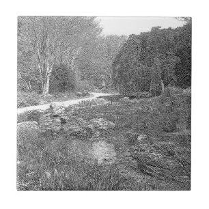 White and black nature sketch tile