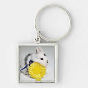 White and black rabbit on blue leash with yellow keychain