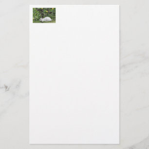 White and Black Rabbit Stationery