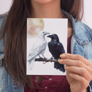 White and Black Raven Postcard