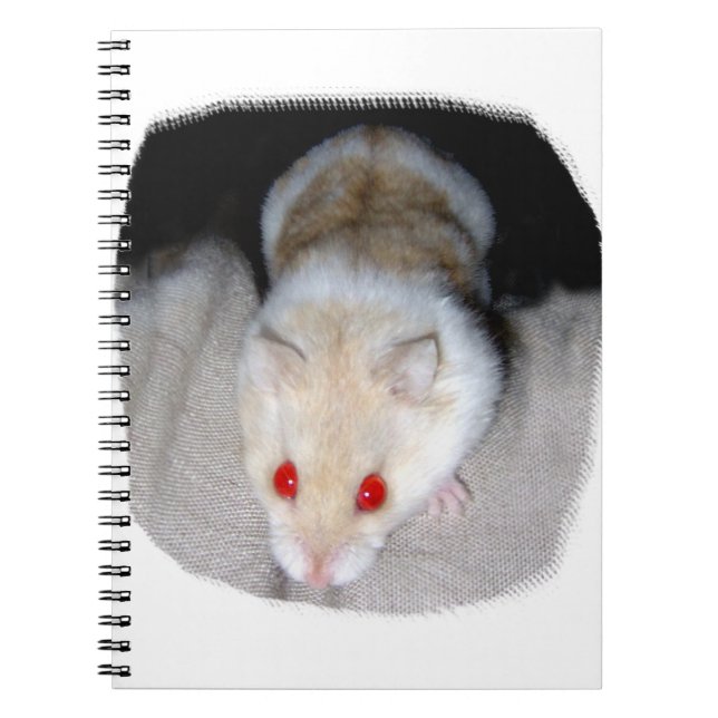 White and blonde albino hamster picture notebook (Front)