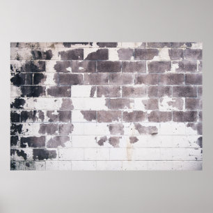 White and brown concrete wall poster