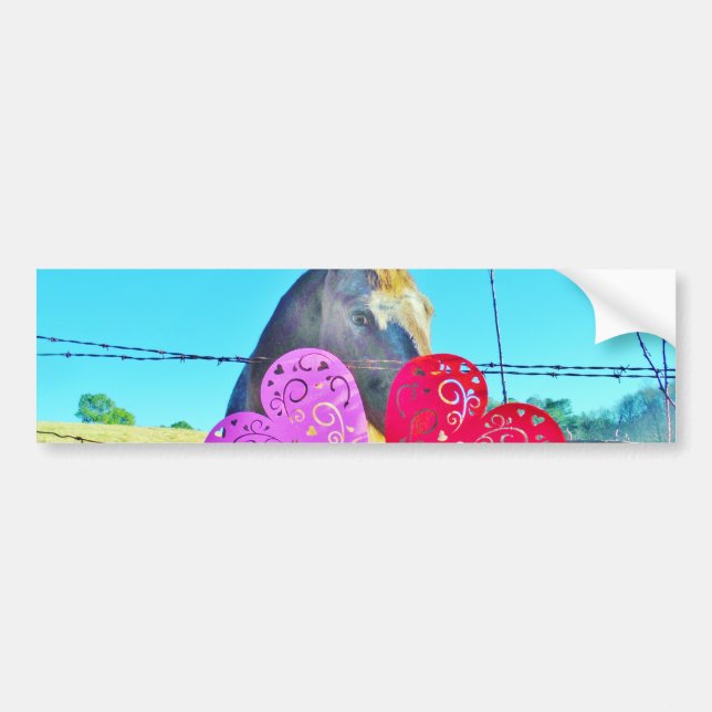 White and Brown horse Valentine Hearts Bumper Sticker (Front)