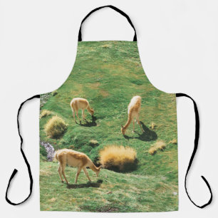 WHITE AND BROWN HORSES ON GREEN GRASS FIELD APRON