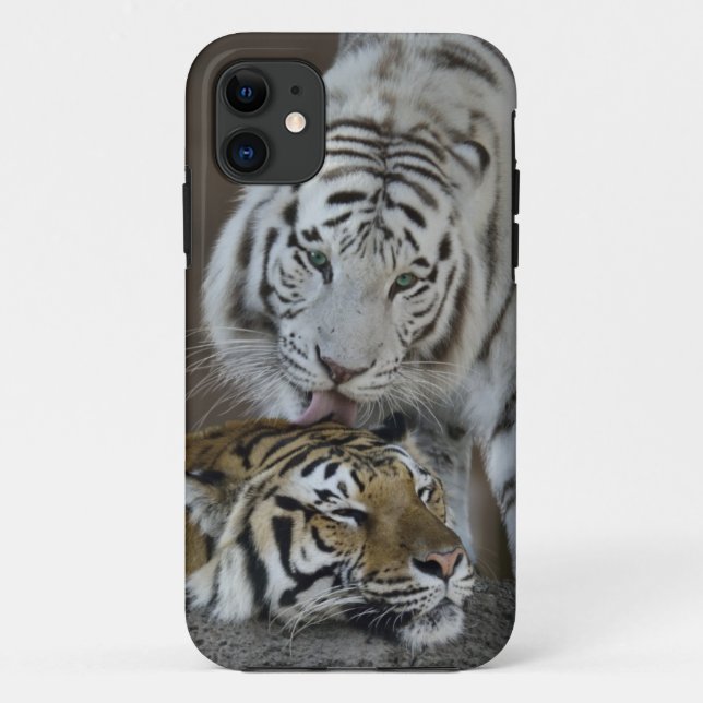 White And Brown Tigers Resting Case-Mate iPhone Case (Back)