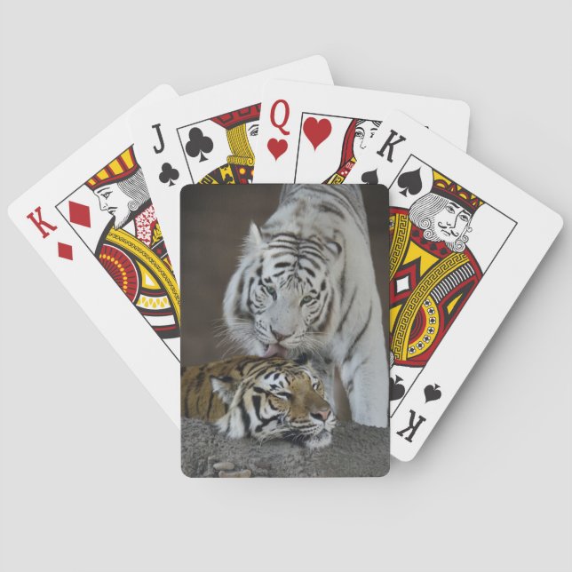 White And Brown Tigers Resting Playing Cards (Back)