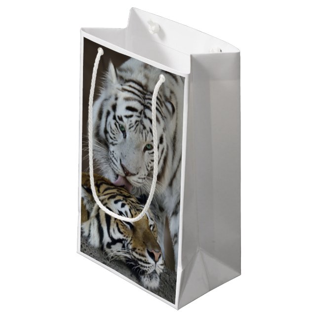 White And Brown Tigers Resting Small Gift Bag (Front Angled)