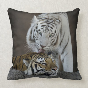 White And Brown Tigers Resting Throw Pillow