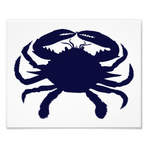 White and Dark Blue Crab Photo Print