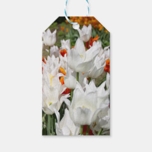 White and ginger tulips in the garden    gift tags