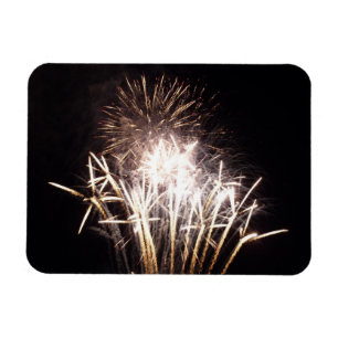 White and Gold Fireworks I Patriotic Celebration Magnet