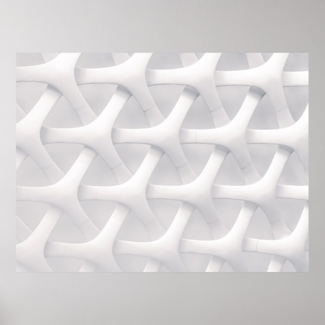 White and grey optical illusion poster (Front)