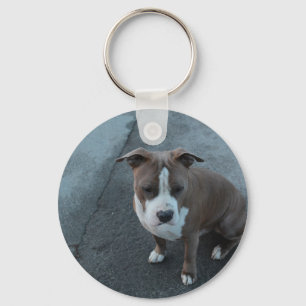 White and Grey Pitbull on concrete Keychain