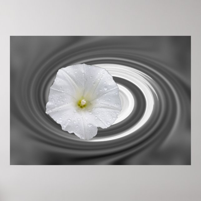 white and grey poster (Front)