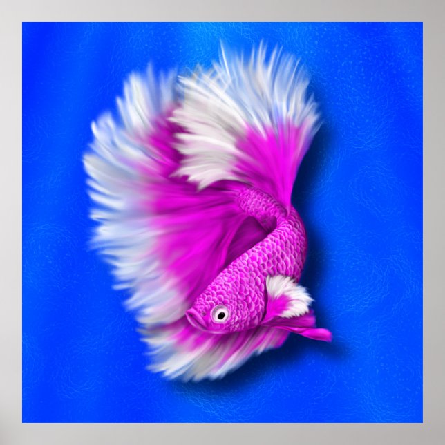 White and Hot Pink Betta Fish Poster (Front)