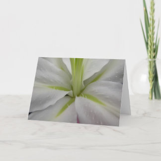White and Lime Tiger Lily Greeting Card