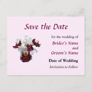 White and Magenta Orchid Announcement Postcard