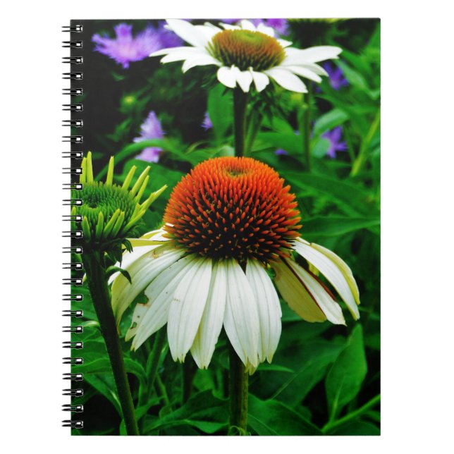 White and Orange ConeFlowers Notebook (Front)