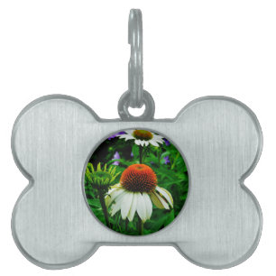 White and Orange ConeFlowers Pet ID Tag