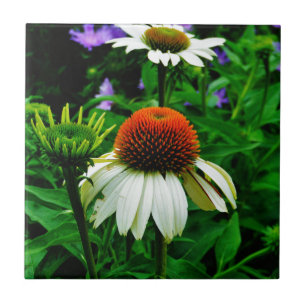 White and Orange ConeFlowers Tile