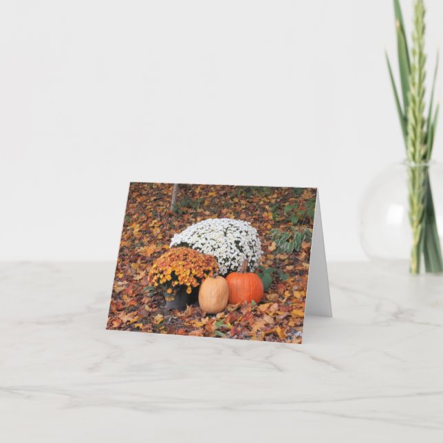 White and Orange Fall Mums Card (Front)