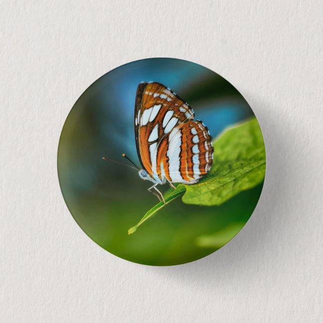 White and Orange Striped Butterfly 1 Inch Round Button (Front)