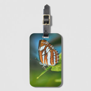 White and Orange Striped Butterfly Luggage Tag