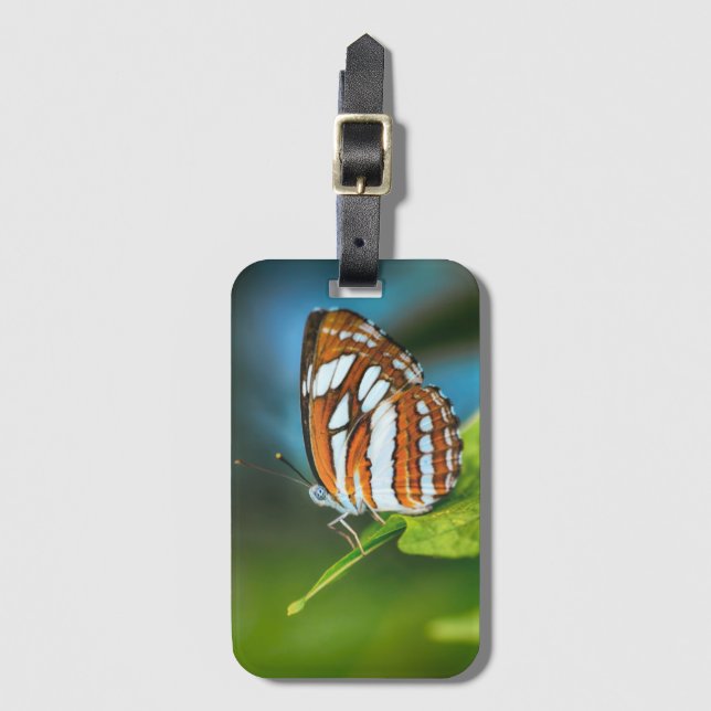 White and Orange Striped Butterfly Luggage Tag (Front Vertical)