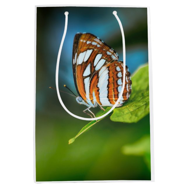 White and Orange Striped Butterfly Medium Gift Bag (Front)