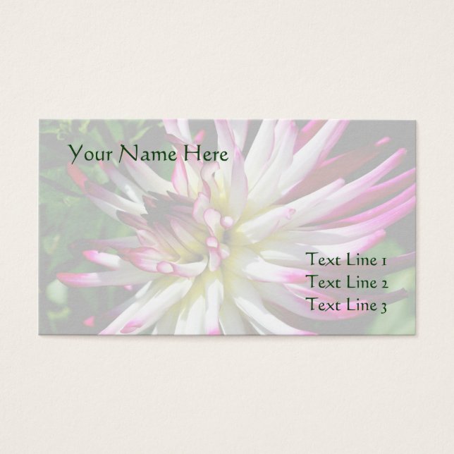 White And Pink Dahlia Flower Business Card (Front)