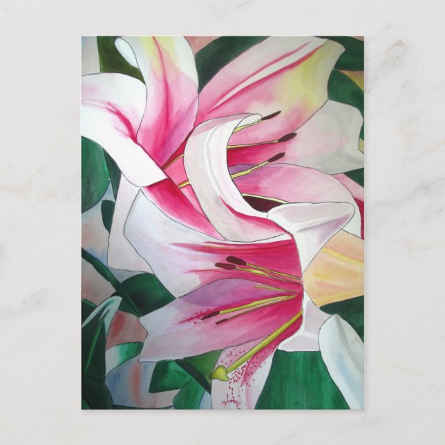 White and Pink day lily watercolor art flower Postcard (Front)