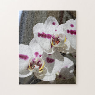 White and Pink Spotted Orchid Photograph Jigsaw Puzzle