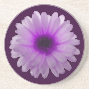 White and Purple Marigold Coasters