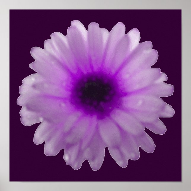 White and Purple Marigold Poster (Front)