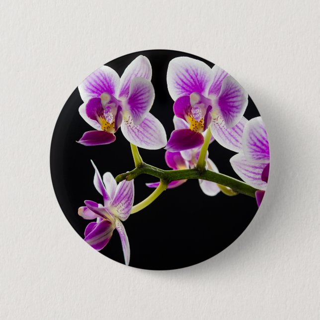 White and purple orchid 2 inch round button (Front)