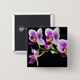 White and purple orchid 2 inch square button