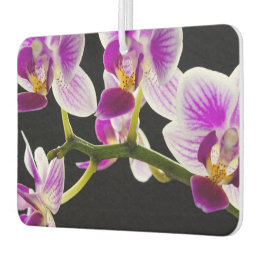 White and purple orchid air freshener