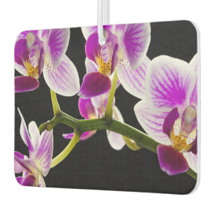 White and purple orchid air freshener