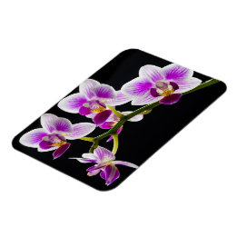 White and purple orchid magnet