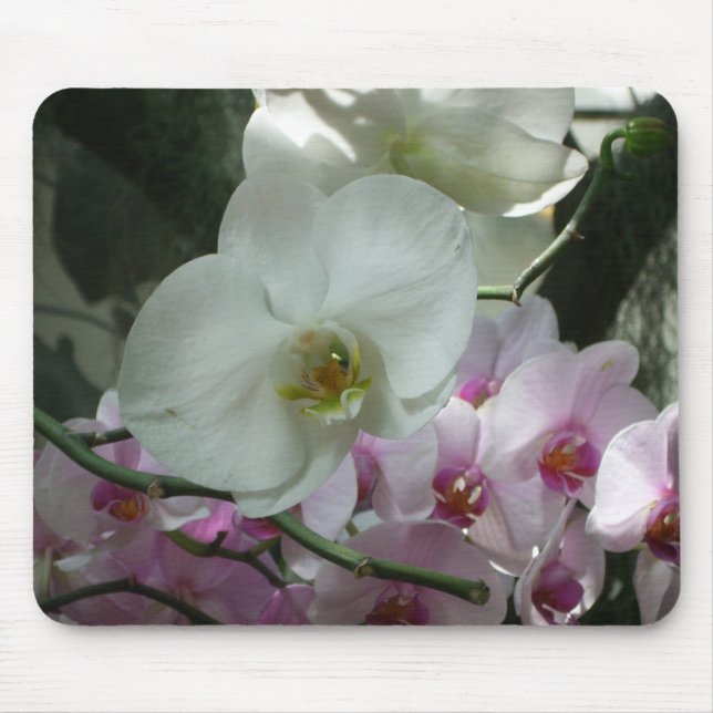 White and Purple Orchids Mouse Pad (Front)