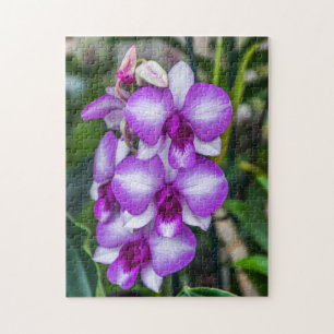 White and purple orchids photo puzzle