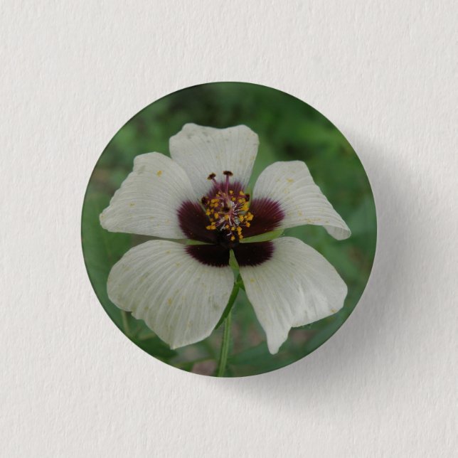 White and Purple Passionflower Button (Front)