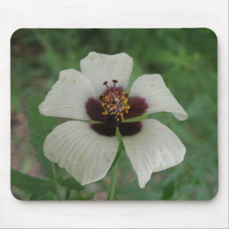 White and Purple Passionflower Mousepad